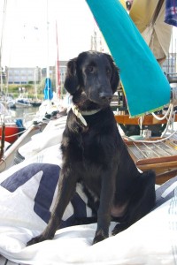 Lola aug 2014